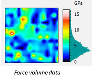 AFSEM image of bone sample with a partially dissolved implant obtained in force volume mode. (Figure 2) Force volume data of the same area.