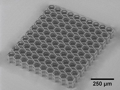 Femtika Laser Nanofactory Hexagon Scaffold