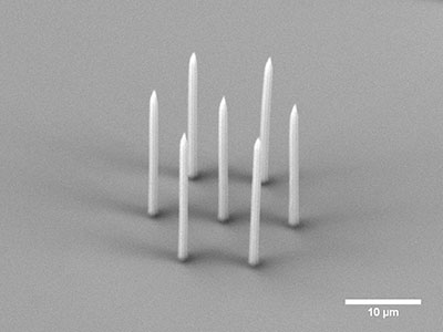Femtika Laser Nanofactory Micro Needles
